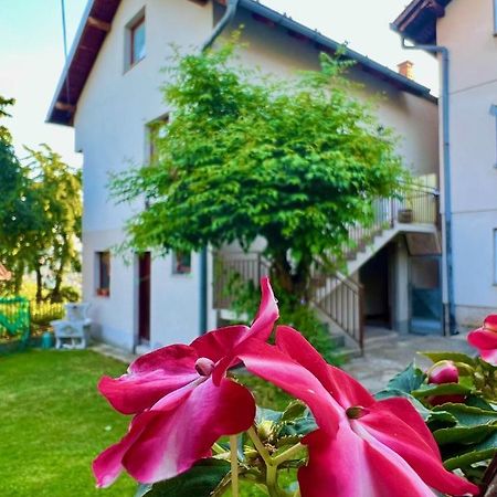 Apartman Amila SJJ Buitenkant foto