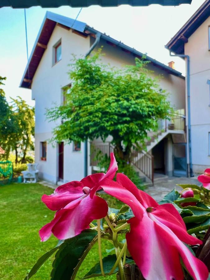 Apartman Amila SJJ Buitenkant foto